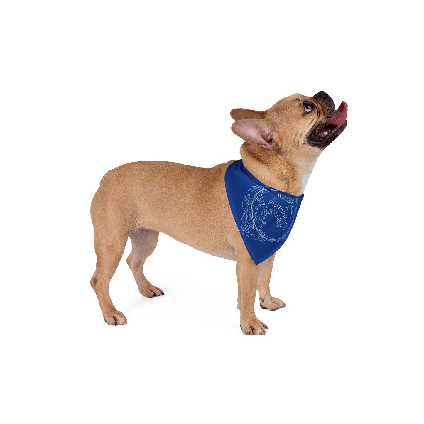 Nautical Pet Bandana, Stylish Dog Scarf, Dog Accessory for Pet Lovers, Beach or Summer Outfit, Gift for Dog Owners, Funny Pet Bandana